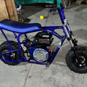 Blue Streak custom mini bike